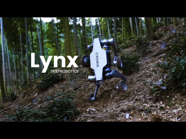 Китайский робот Lynx показал чудеса проходимости на бездорожье